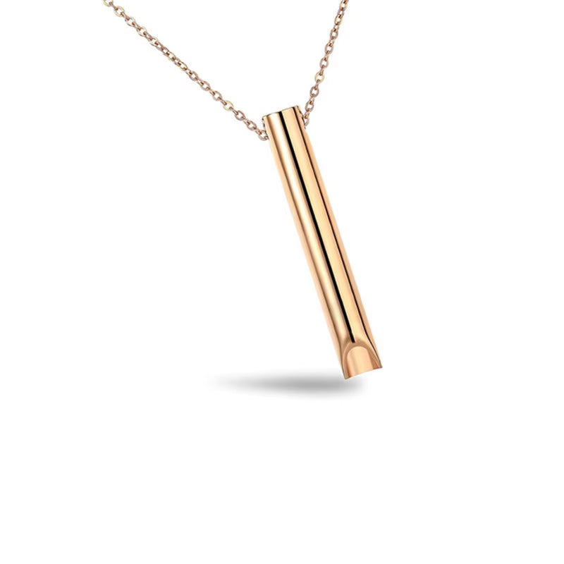 1PC Fashion Necklace Geometric Simple Ring Holder Ring Pendant Necklace for Man Women Jewelry Silver Color Gold Color 45Cm Long